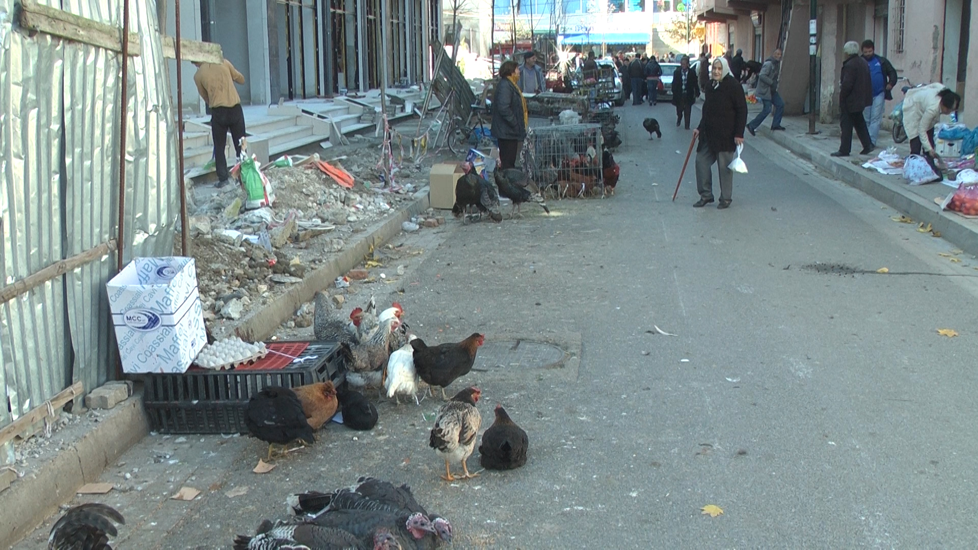 Pensionistët: Me pensione, as pula të ngordhura nuk blejmë dot, jo më gjel deti! (Video)