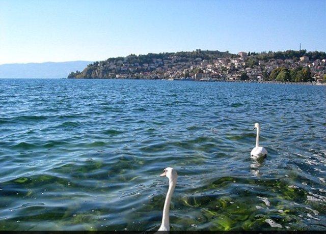 The Independent: Liqeni i Ohrit po zhduket