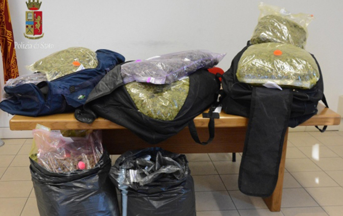 Itali, arrestohen dy shqiptarë, kapen me 52 kg marijuanë