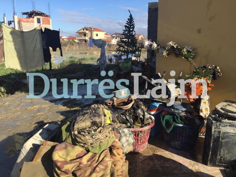 Fotolajm/ Ja si gdhinë familjet sot në Sallmone