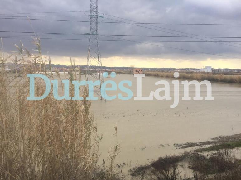 VIDEO/ Situatë katastrofike në Shijak, përmbyten shtëpitë dhe tokat