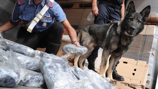 Itali, sekuestrohet kokainë dhe heroinë, vinte nga Shqipëria dhe Maroku