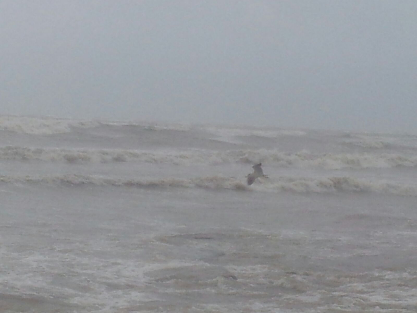 Porti i Durrësit përfshihet nga fortunali, pezullohen të gjitha lundrimet