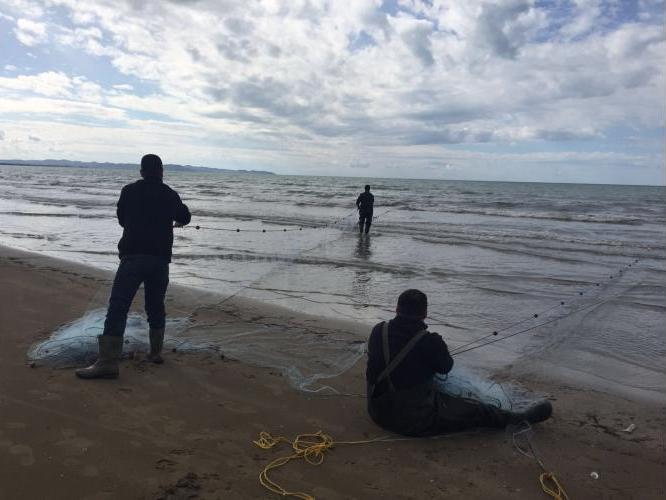 Peshkatarët amatorë sfidojnë motin e keq për të kapur peshk të freskët (Video)