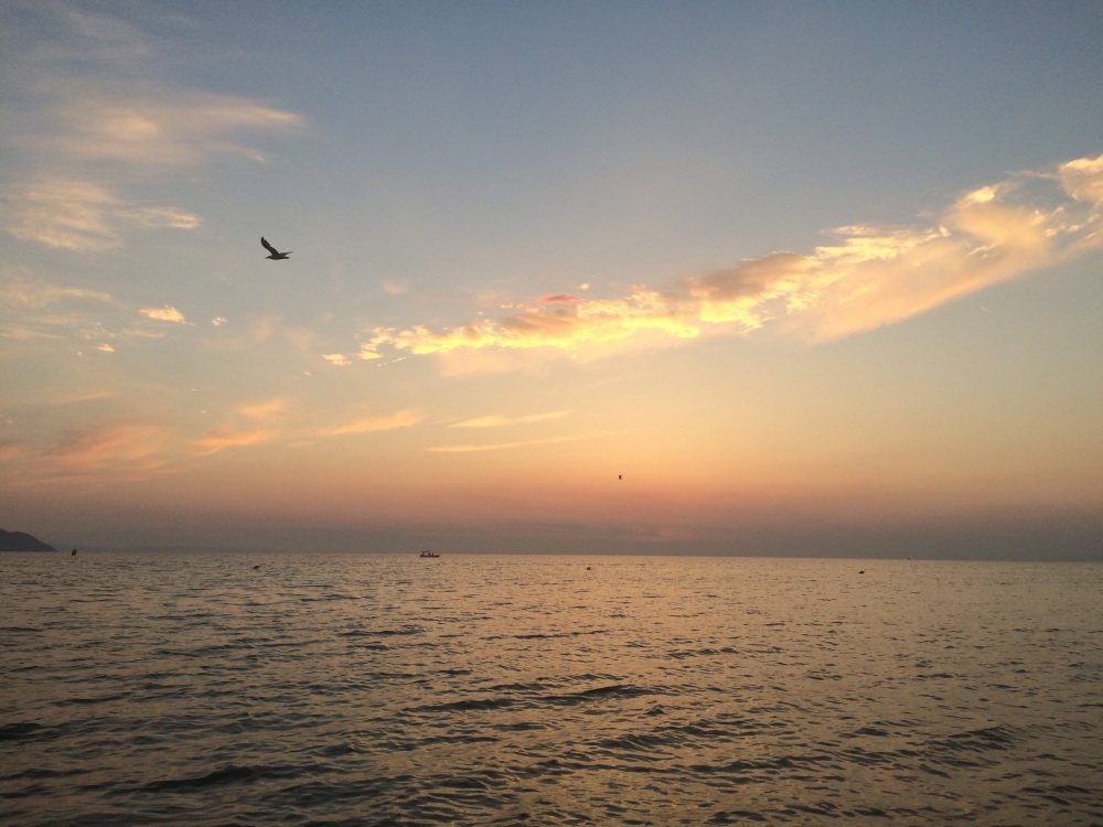 Trafik droge me dyshek plazhi, arrestohen dy të rinjtë në det