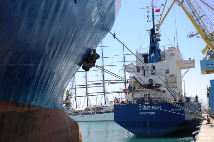 12.5 milionë lekë për zëvëndësimin e 27 kalunave në port