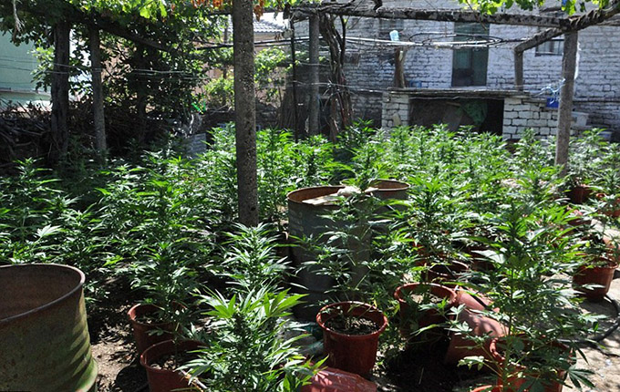 Gjirokastër, zbulohet një laborator droge në Lazarat