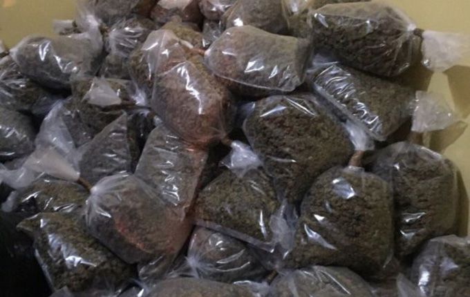 Durrës, arrestohen gjashtë persona, sekuestrohen 20 kg drogë