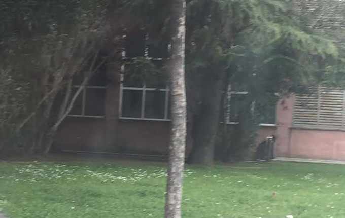 Durrës, lulishtja e kthyer në banjo publike (foto)