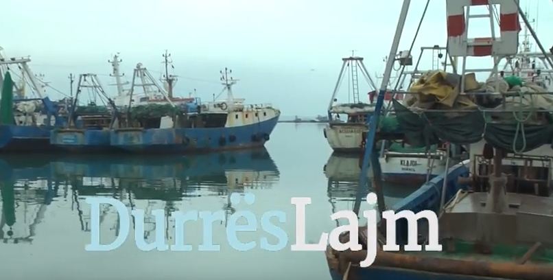 Ndotja e Adriatikut, në rrjetat e peshkatarëve tashmë bien gomarë të ngordhur (VIDEO)