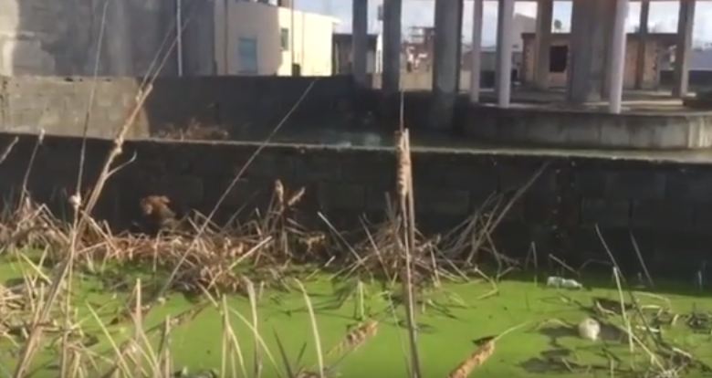 Videolajm/ Përpjekja e dëshpëruar e një qeni të përmbytur në Durrës