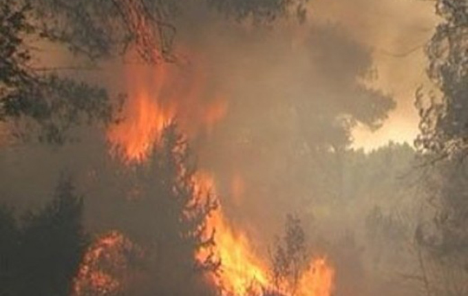 Korçë, zjarr në pyjet e Vidohovës, e pamundur ndërhyrja