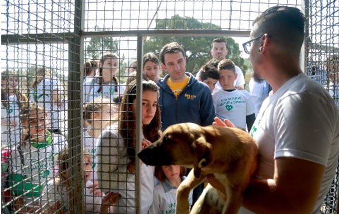 Tiranë, Dita e Kafshëve Endacake, kryebashkiaku Veliaj: Edhe kafshët kanë të drejtat e tyre