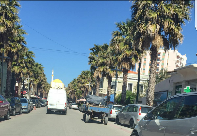 Videolajm/ Vetëm në vendin tonë kalojnë kuajt në bulevardin kryesor!