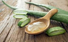 Aloe vera, të mirat që sjell konsumi i kësaj bime