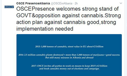 OSBE “korrigjon” deklaratat e Borschardt për paratë e drogës