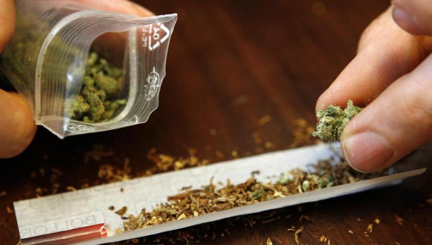 Kapet me kanabis një 23-vjeçar në Shijak