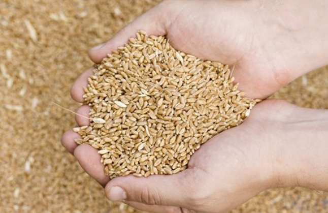 E pasigurt çfarë mielli po konsumojmë