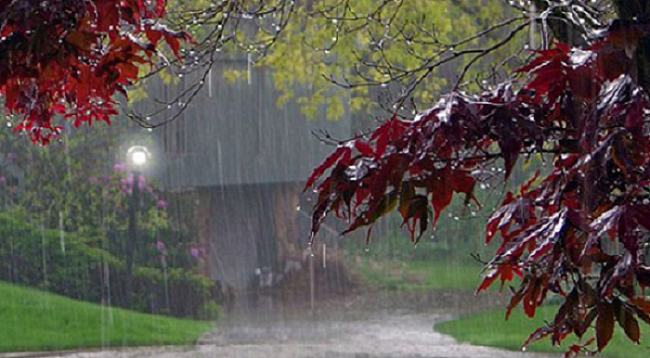 Ikin ditët më diell, si do jetë moti në fundjavë