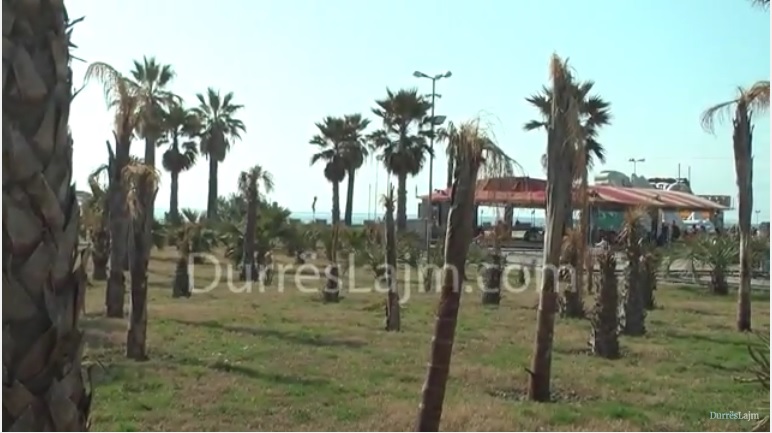 Një humbje e madhe për shëtitoren “Taulantia” në Durrës (VIDEO)