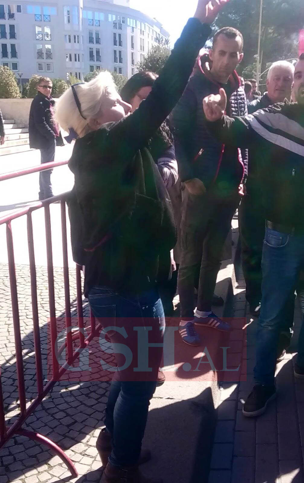 Incident gjatë fjalës së Berishës, gruaja sulet me fyerje: Malokë të qelbur!