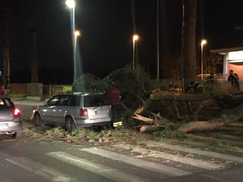 Po udhëtonte me makinë, por pisha e bën për spital (FOTO)