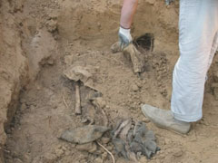 Gjenden eshtrat e një njeriu, ja kujt dyshohet se i përkasin