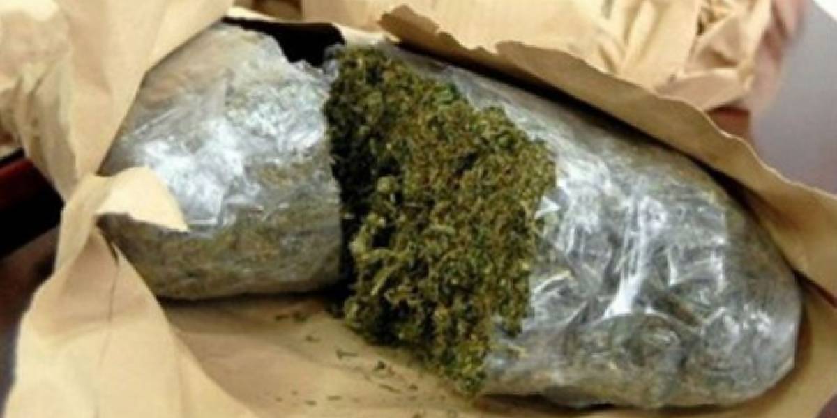 Kapen me kanabis në banesë, arrestohen nënë e bir