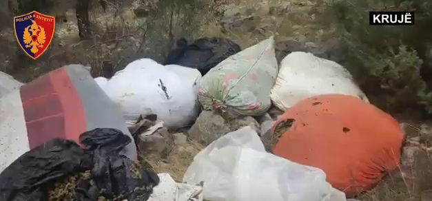 Antidroga e Durrësit zbulon 166 kg, trafikantët nuk gjenden (VIDEO)