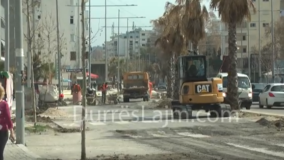 Druri dekorativ që do të zbukurojë rrugën e plazhit në Durrës (VIDEO, FOTO)