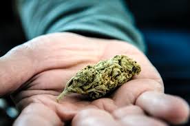 Durrës, adoleshenti kapet duke i treguar shokut marijuanë