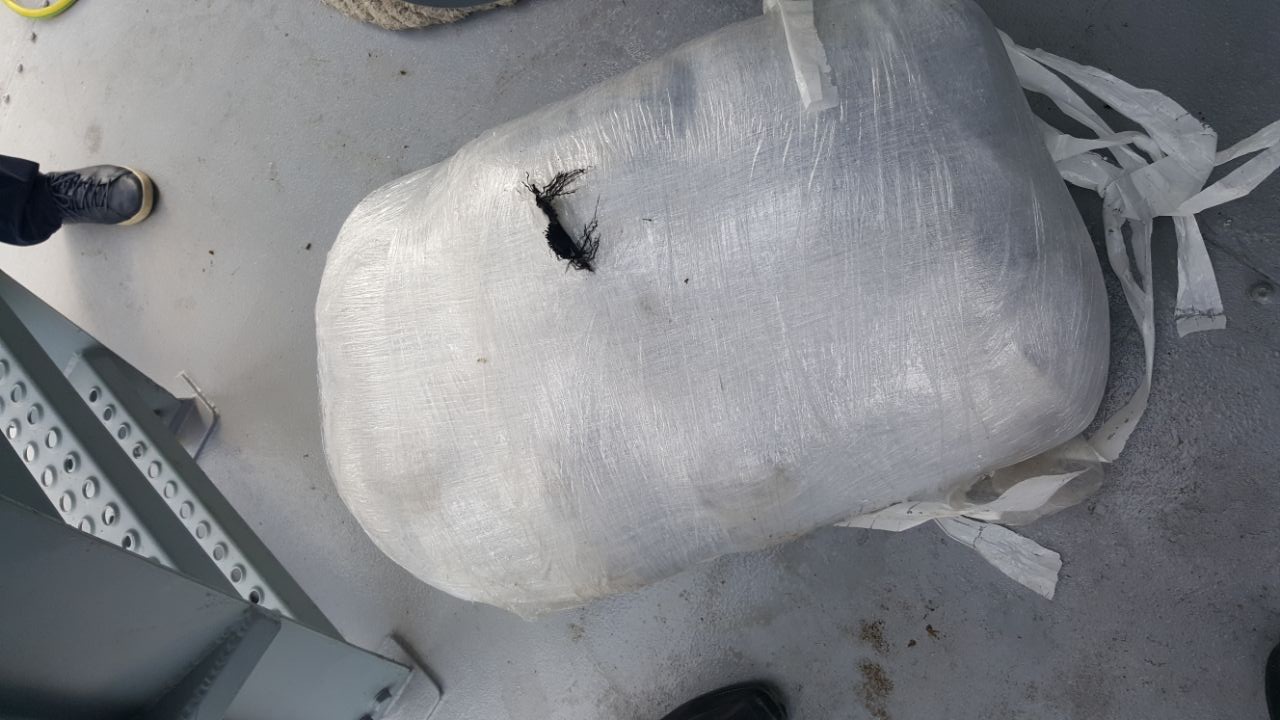 Policia e Durrësit: Thesi në Kallm me rreth 20 kg kanabis