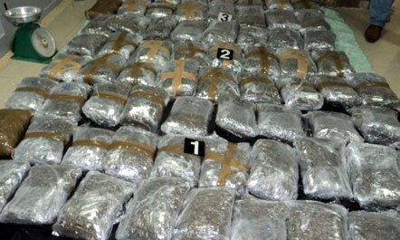 Policia sekuestron 1.5 tonë hashash