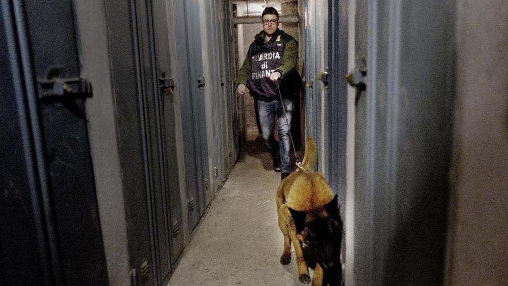 Shkatërrohet banda e drogës, “koka” e 17 vetave ishte një shqiptar