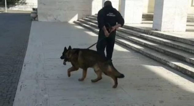 “Blindohet” kufiri, çfarë pritet të ndodhë në portin e Durrësit