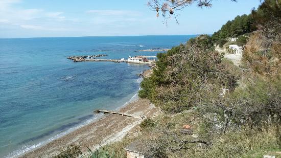 LAJM I FUNDIT/ Policia e Durrësit sekuestron një thes me kanabis në Kallm