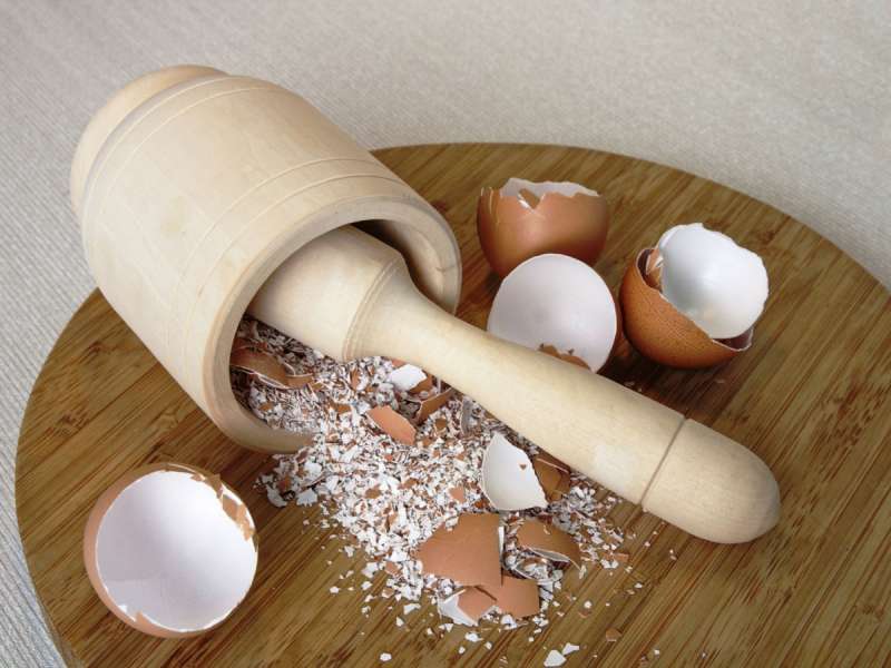 Përse duhet ngrënë lëvozhga e vezës