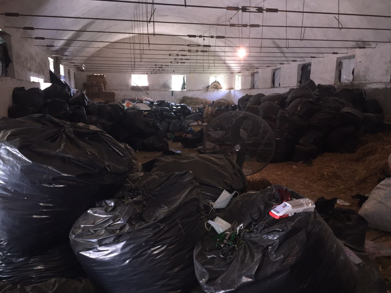 Magazina me 12 tonë kanabis, kapen dy pronarët dhe kryeplaku