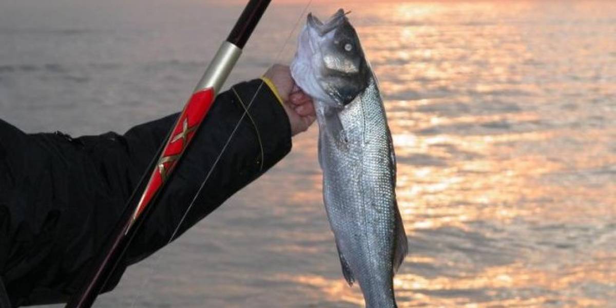 Deputeti durrsak “analizon” darkën Rama-Meta: I gjati ngeli si pemë, kurse i shkurtri…