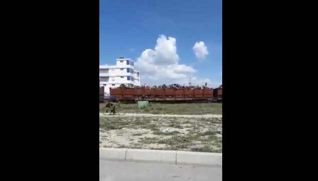 Me çfarë është ngarkuar plot ky tren në Durrës? (VIDEO)