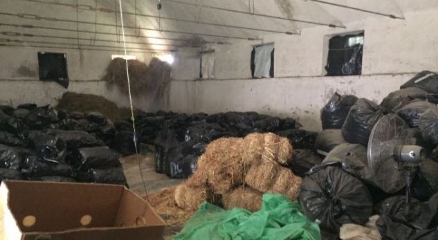 DETAJET/ Tre biznesmenë, pronarët e 12 tonëve drogë