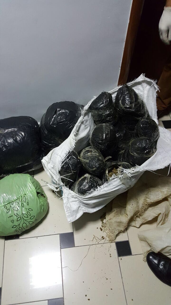 Durrës, kapen me 4 thasë kanabis, 2 në pranga (FOTO)