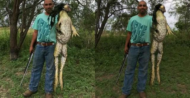 Po çuditen të gjithë! Peshkatari shokohet nga ajo që ngeci në grep