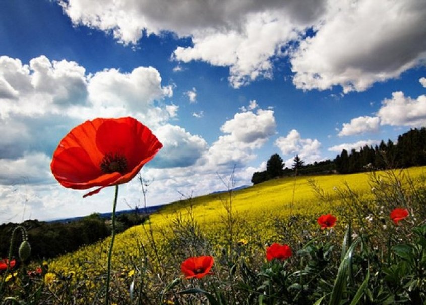 Temperaturat do shkojnë mbi 30 gradë! Kur pritet përmirësimi i motit