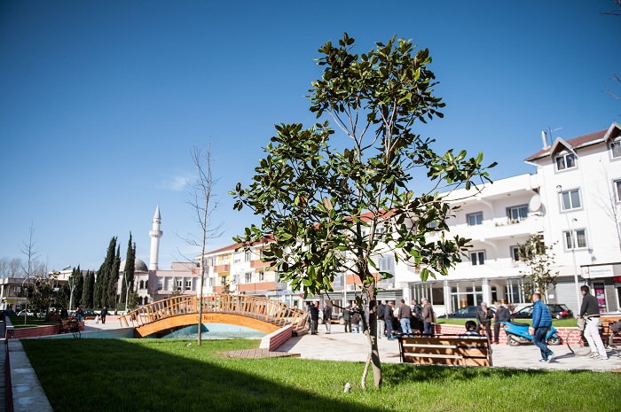 Ja çfarë bëri i dehuri në qendër të Shijakut