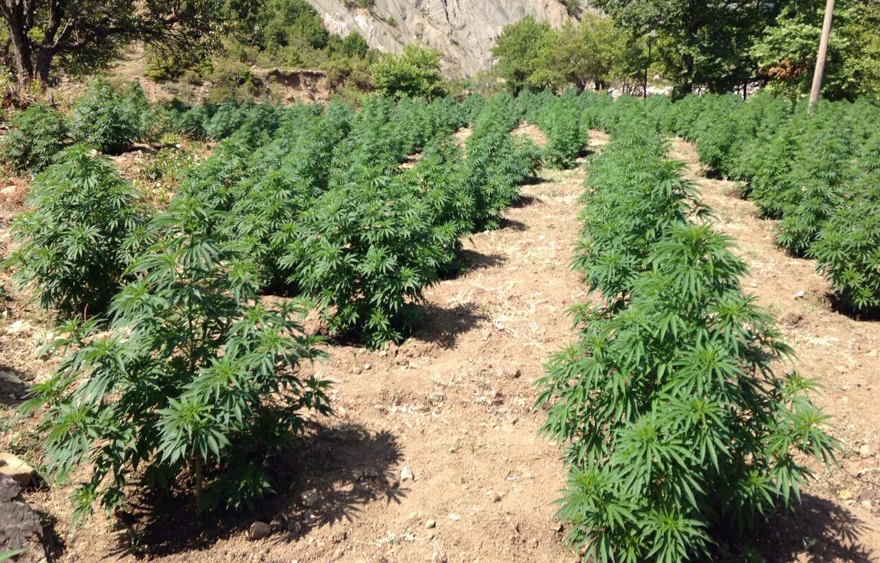 Iu arrestuan bashkëshortët për drogë, gratë: Ne s’kemi lidhje