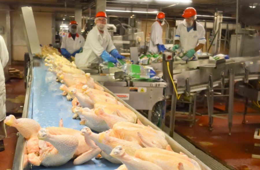 Durrës, bllokohen 26 tonë mish pule nga Brazili