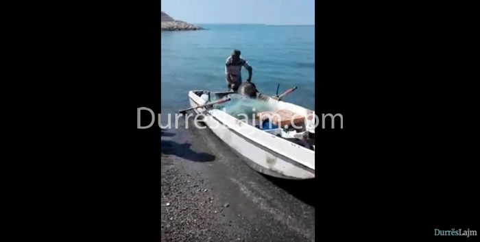 Ja ҫfarë nxorën peshkatarët sot në Currila (VIDEO)