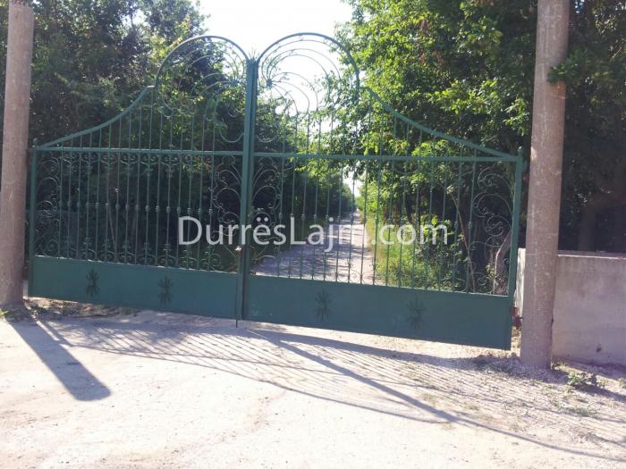 Zbardhet dinamika e vrasjes në Durrës/ Si shpëtoi i fundit që qëlloi me Shotgun