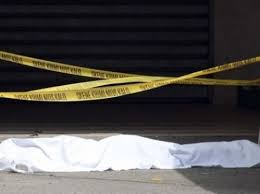 E reja hidhet nga kati i pestë, vdes në vend